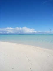 Honeymoon island - photo taken in 2010